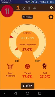 Grill ProbeE android App screenshot 2